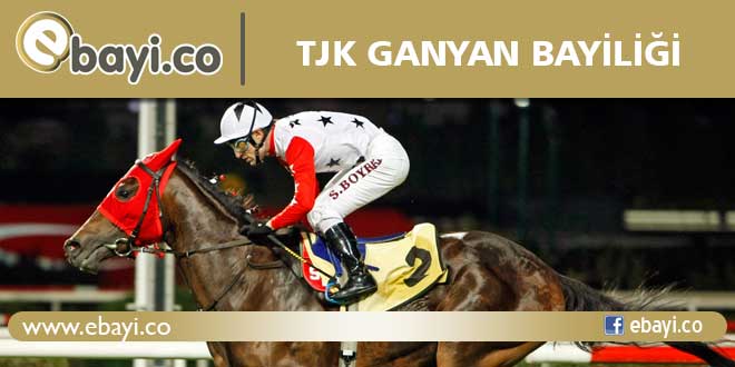 tjk bayilik
