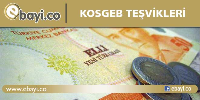 Kosgeb teşvikleri
