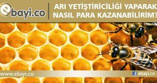 arı yetiştiriciliği